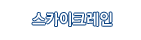 스카이크레인